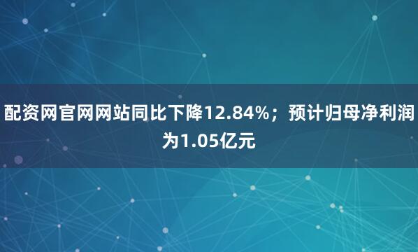 配资网官网网站同比下降12.84%；预计归母净利润为1.05亿元