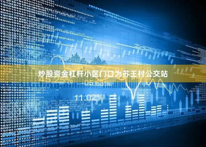 炒股资金杠杆小区门口为苏王村公交站